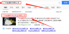 潮州市豐業(yè)實業(yè)有限公司和本公司簽約網站設計合同
