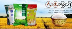 沭陽縣*源米業(yè)有限公司網(wǎng)站建設(shè)新一代自助建站、智能建站系統(tǒng)