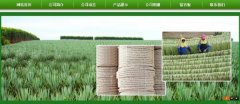 廣西玉林市長*劍麻有限公司企業(yè)網(wǎng)站建設(shè)新一代自助建站、智能建站系統(tǒng)