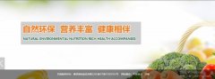 曹縣海*食品有限公司網站開發(fā)可視化建站作品欣賞